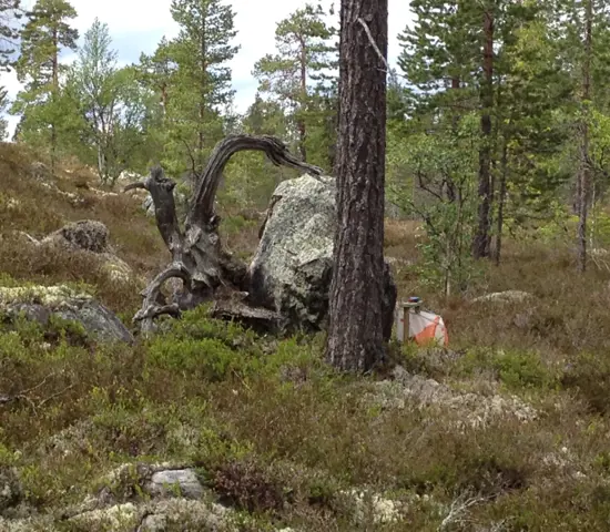 Naturbild med kontroll (Idre)